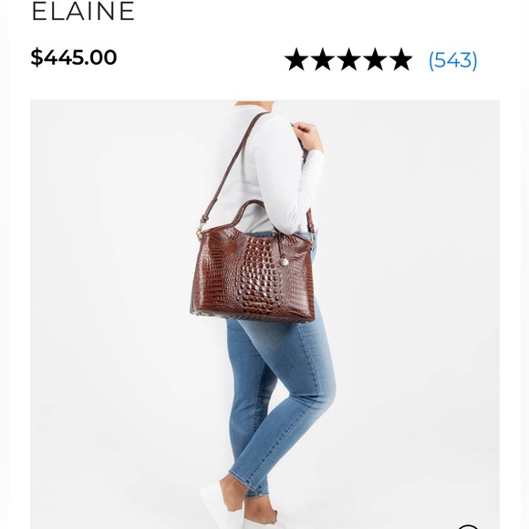 NWT Brahmin Elaine Caviar Felix Handbag🔥🔥 - Picture 7 of 12